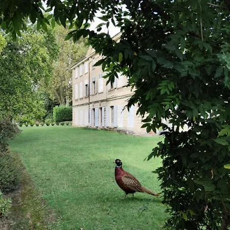 Chateau De Barral - Piscine Privee Holiday home Hauterives